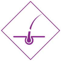 colect logo