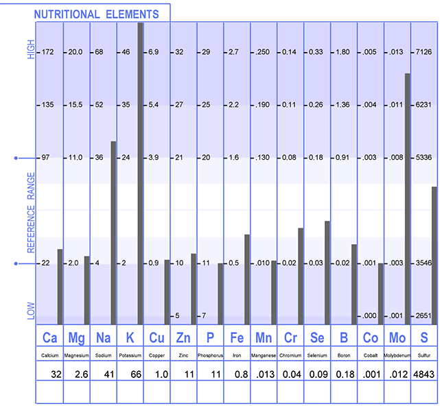 HTMA nutritional elements