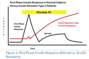 first phase insulin response normal vs in diabetes